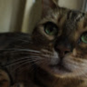 Meet your Posher, Petra